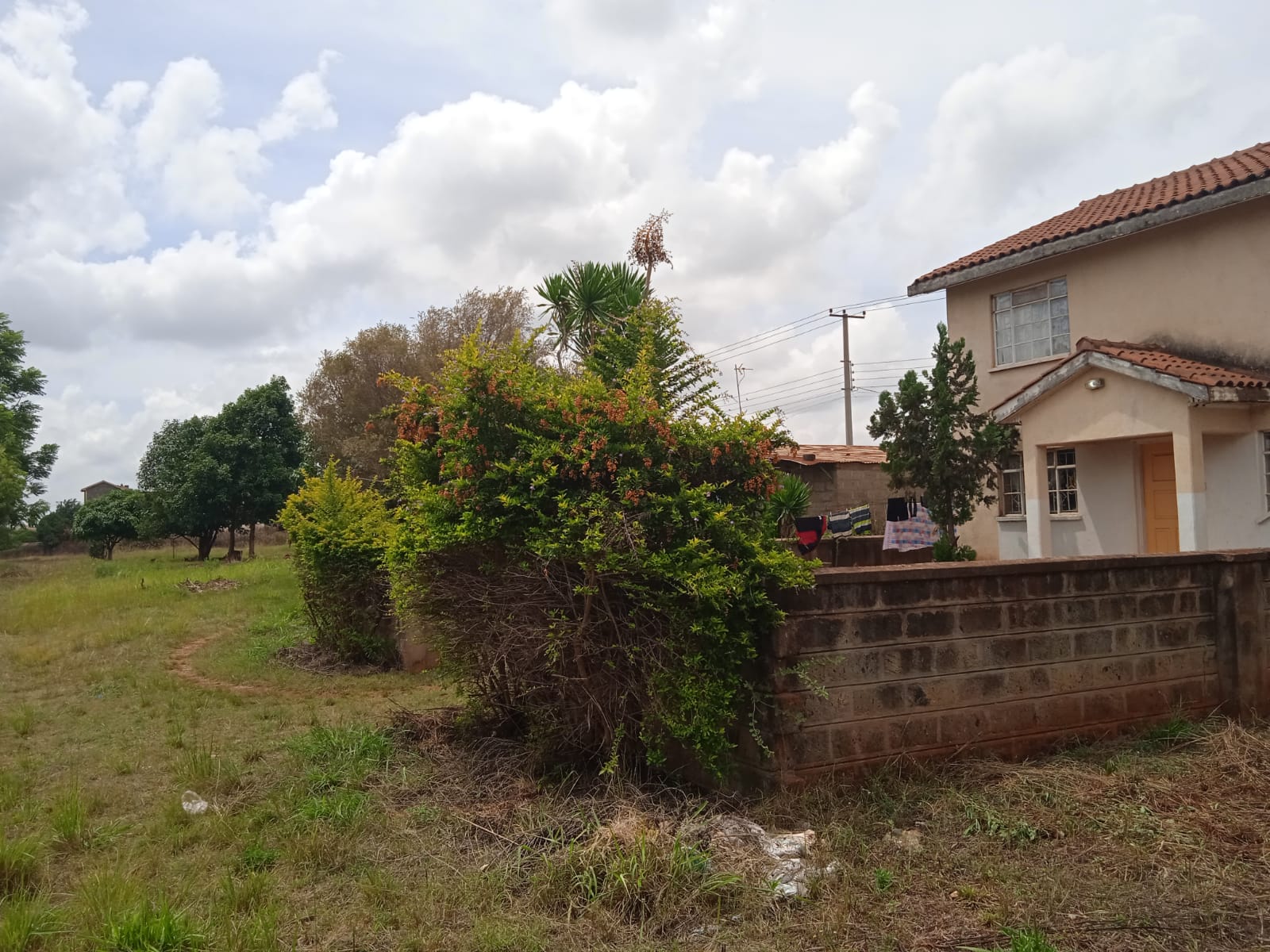 Plot Image 2
